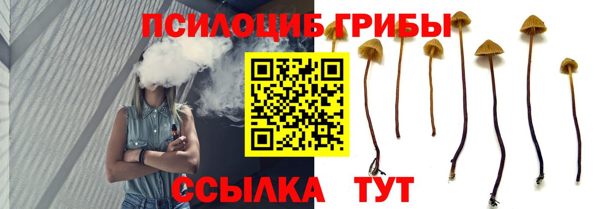 Нягань  Галлюциногенные грибы Magic Shrooms  Галлюциногенные грибы прущие грибы  Вход с VPN 
